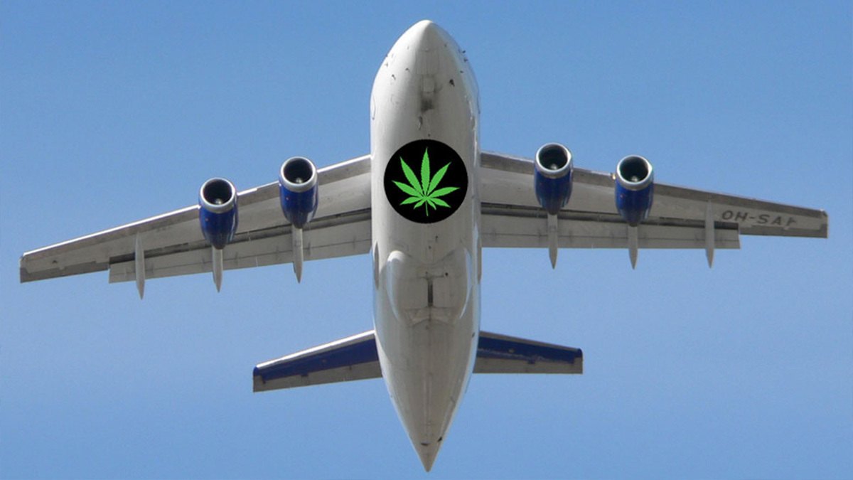 Here’s What You Need to Know About Flying with Weed This Holiday Season