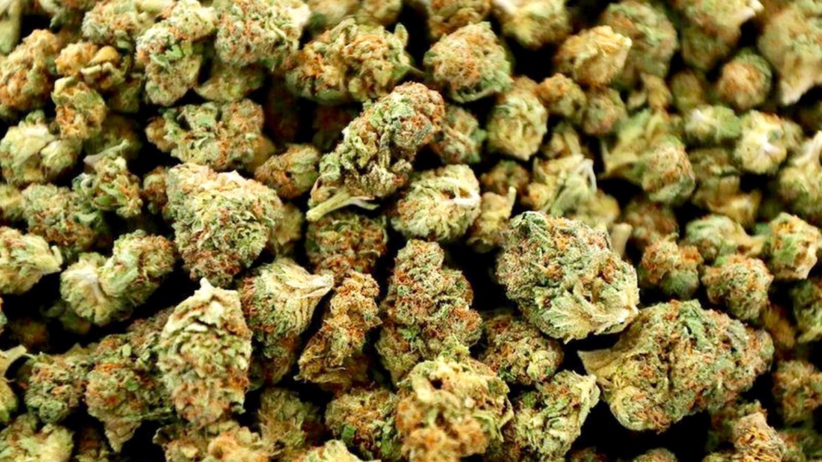 Weed Is the 5th Most Valuable Crop In the Entire US, New Industry Report Says