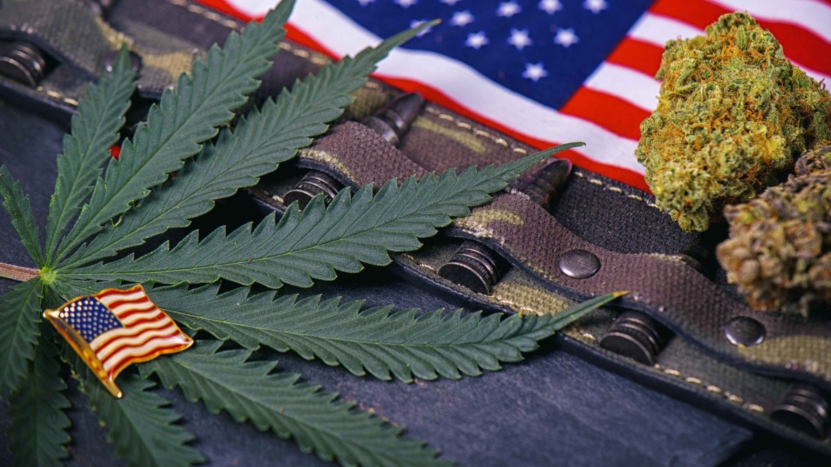 Veterans Demand Access to Medical Marijuana and Psychedelics Through the VA