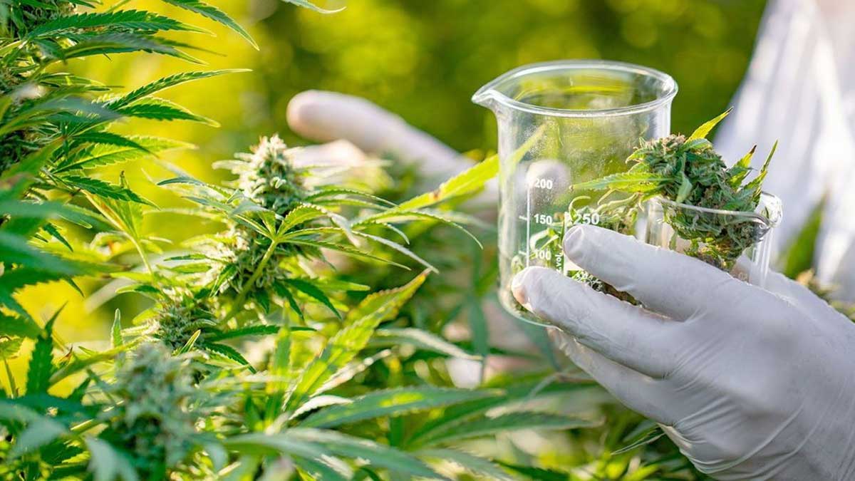 Michigan Will Stop THC Testing For New State Employees ... Except For Cops