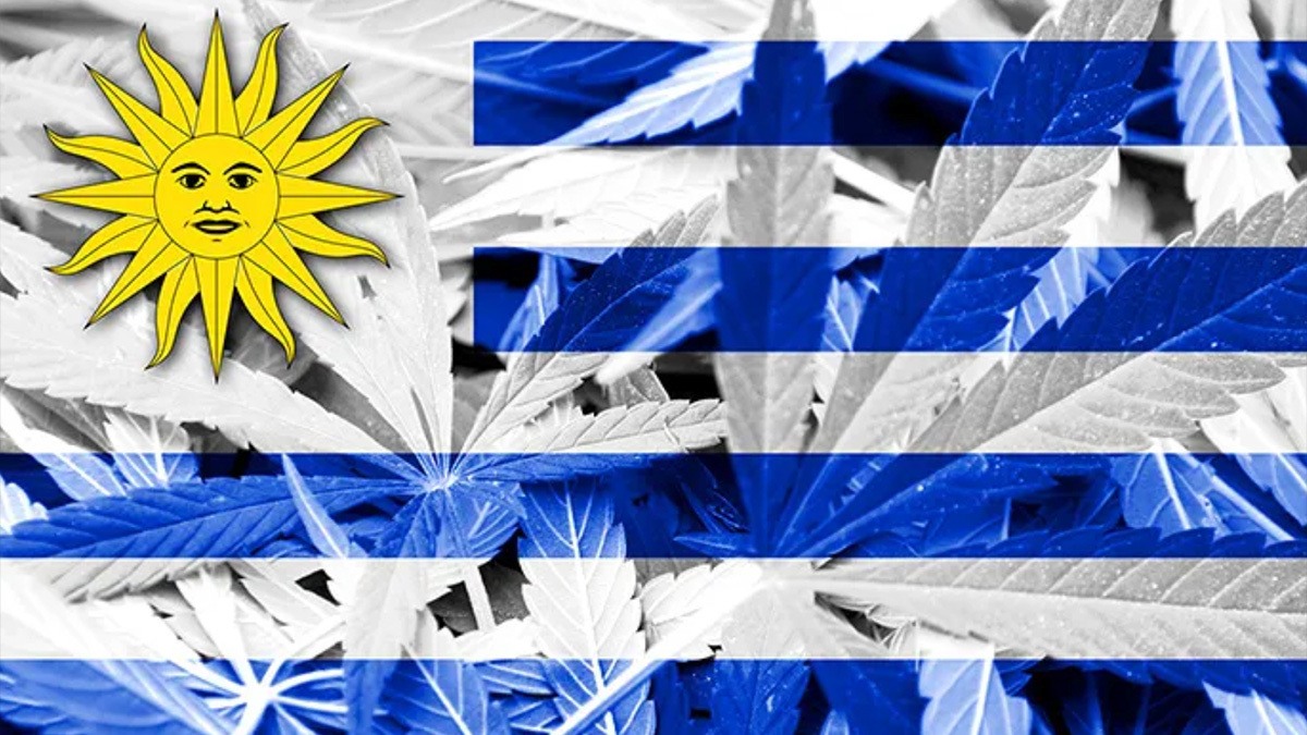 Uruguay Has Sold Over 10 Million Grams of Weed Since Legalizing Six Years Ago