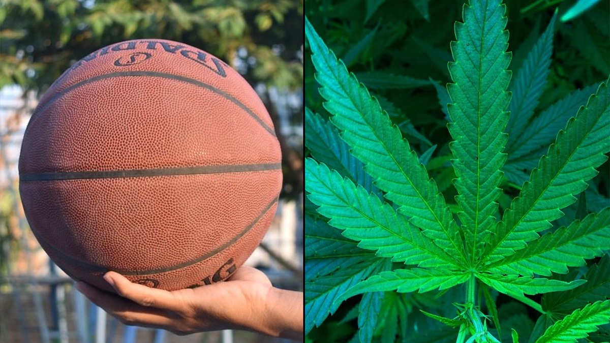 States That Legalize Marijuana See Enhanced College Basketball Recruitment, Study Finds