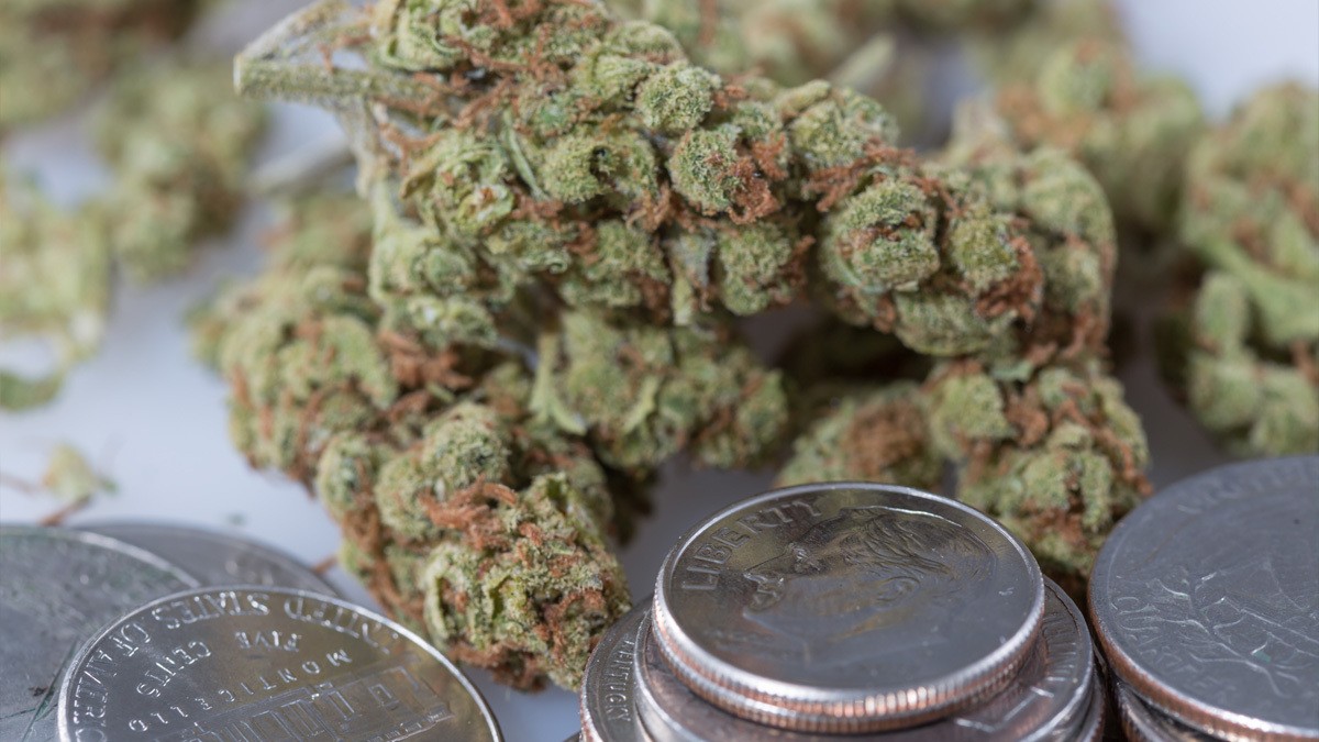 National Marijuana Legalization Would Grow Tax Revenue To $8.5 Billion For All States, Think Tank Estimates In New Taxation ‘Blueprint’