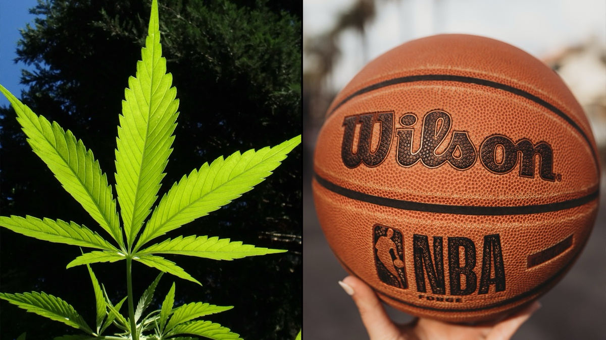 Brooklyn Nets And New York Liberty Become First NBA And WNBA Teams To Partner With CBD Company