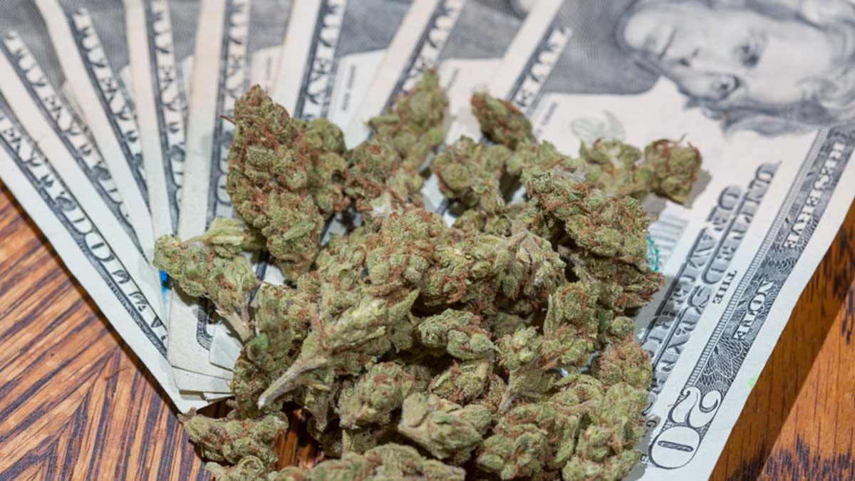 States Have Generated Over $20 Billion In Marijuana Tax Revenue Since First Markets Opened, New Report Finds