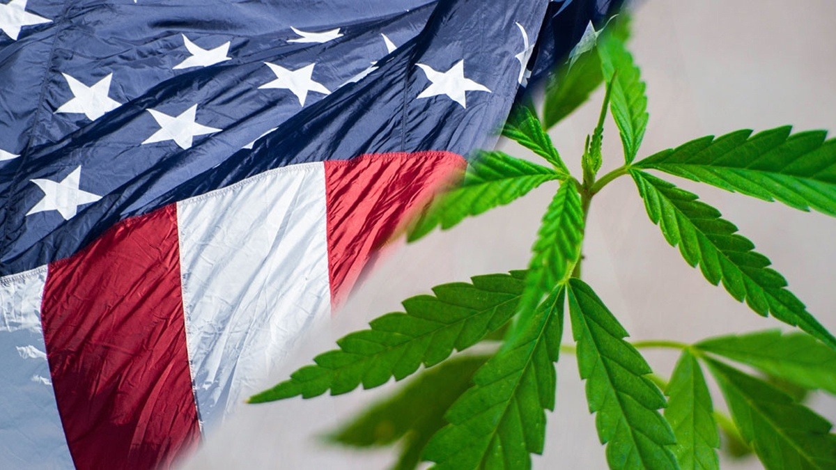 Most Americans Would Vote for a Politician Who Smokes Weed, Survey Says