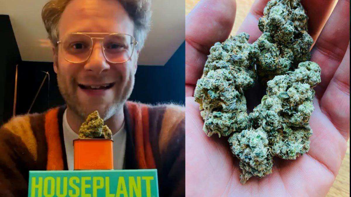 Seth Rogen Just Announced His Own Weed Brand & People Are Losing Their Minds