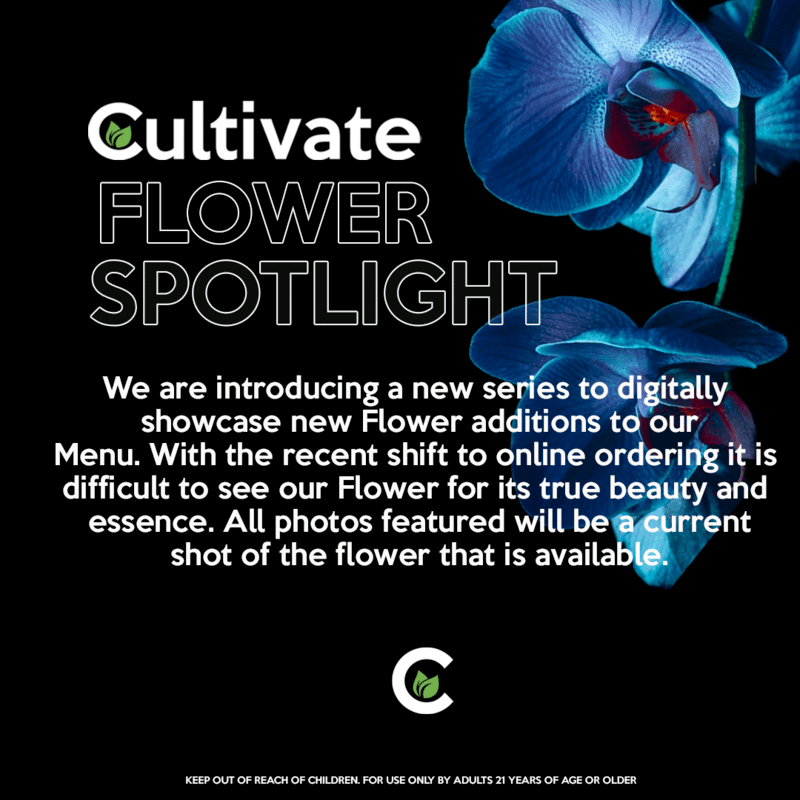 Cultivate Flower Spotlight MAC and Wedding Pie #6