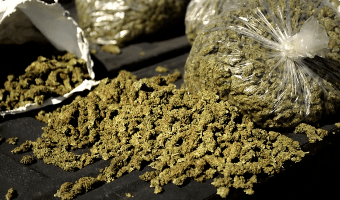 Here Are the States That Allow People to Possess a Quarter Pound of Weed