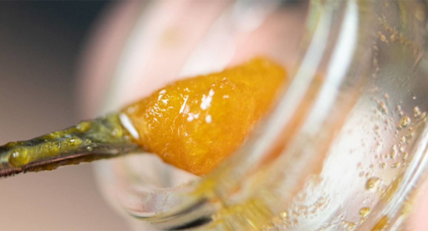 Resin vs. Live Resin vs. Rosin: What’s the Difference?